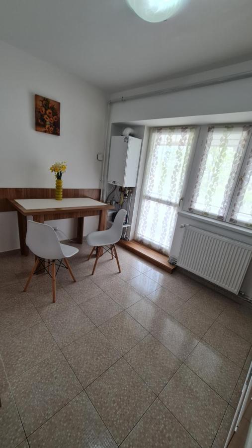 Vs Central Apartment Otopeni Exterior foto
